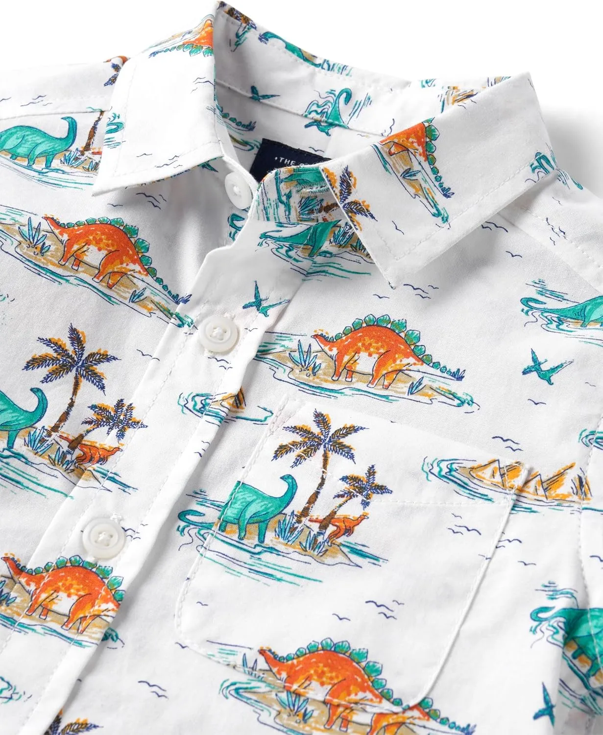 The Children's Place Baby Boys' and Toddler Poplin Short Sleeve Button Down Shirt